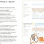 Имедин Менеджмент Официальная Инструкция
