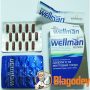 Велмен «Wellman». Купить, цена, отзывы