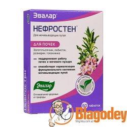 Нефростен теблетки 60 шт. Купить, цена, отзывы.