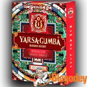 Ярсагумба Секрет Будды (Yarsagumba Buddha Secret). Купить, цена, отзывы